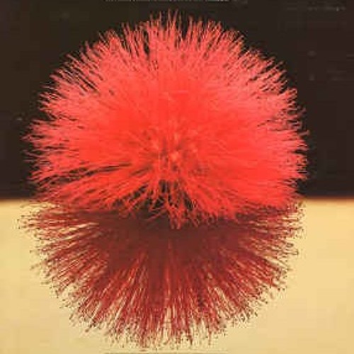 Yutaka - Dragonfly