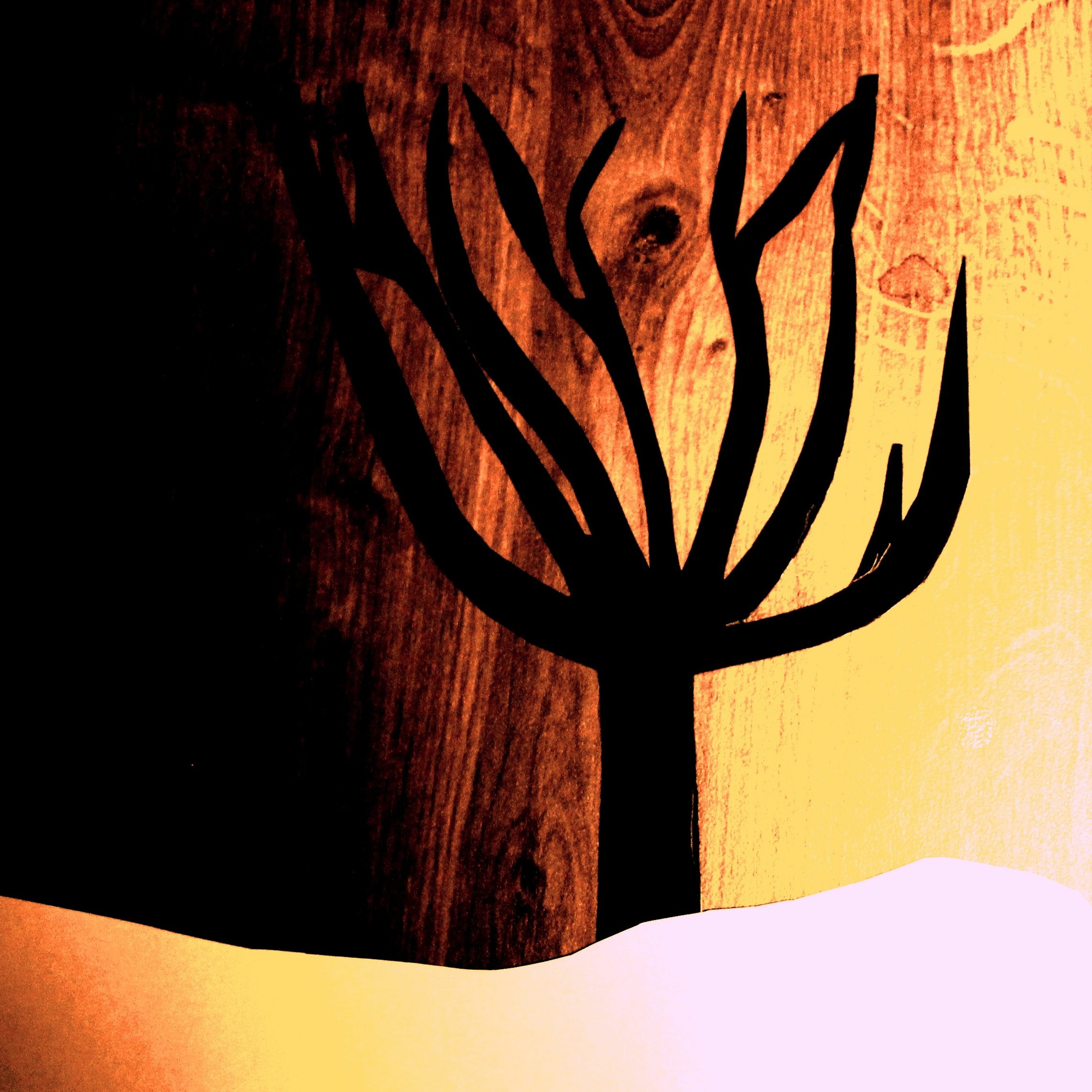 Fir Cone Children - We're Going Out (Feat. Krissy Vanderwoude) episode artwork