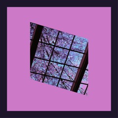 Wisteria