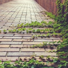 Every Path