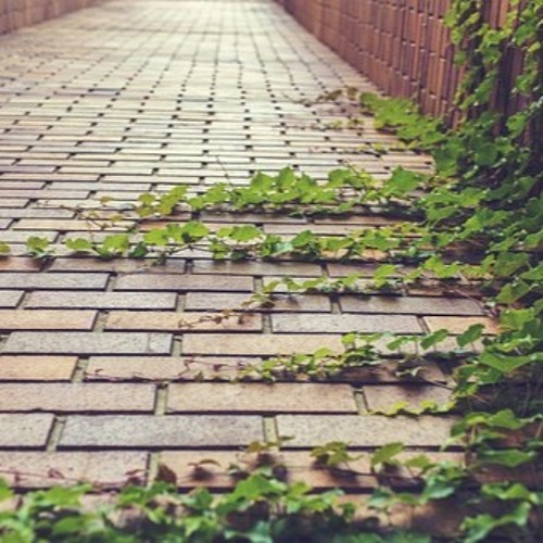 Every Path