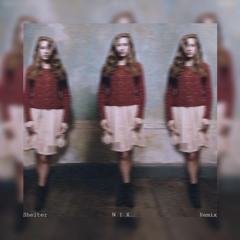 Birdy - Shelter (NX Remix)