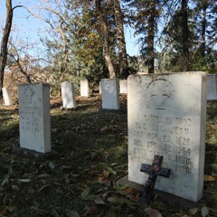 Part 4: The Aftermath