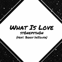 What Is Love (feat. Brady DeSousa)