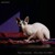 Artwork for Paul Traeumer - Embrace The Dark