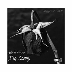 Life Is Crazy, I'm Sorry. (late fee) Ft. SDP
