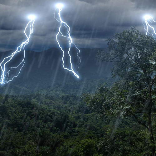 rainforest thunderstorm sounds