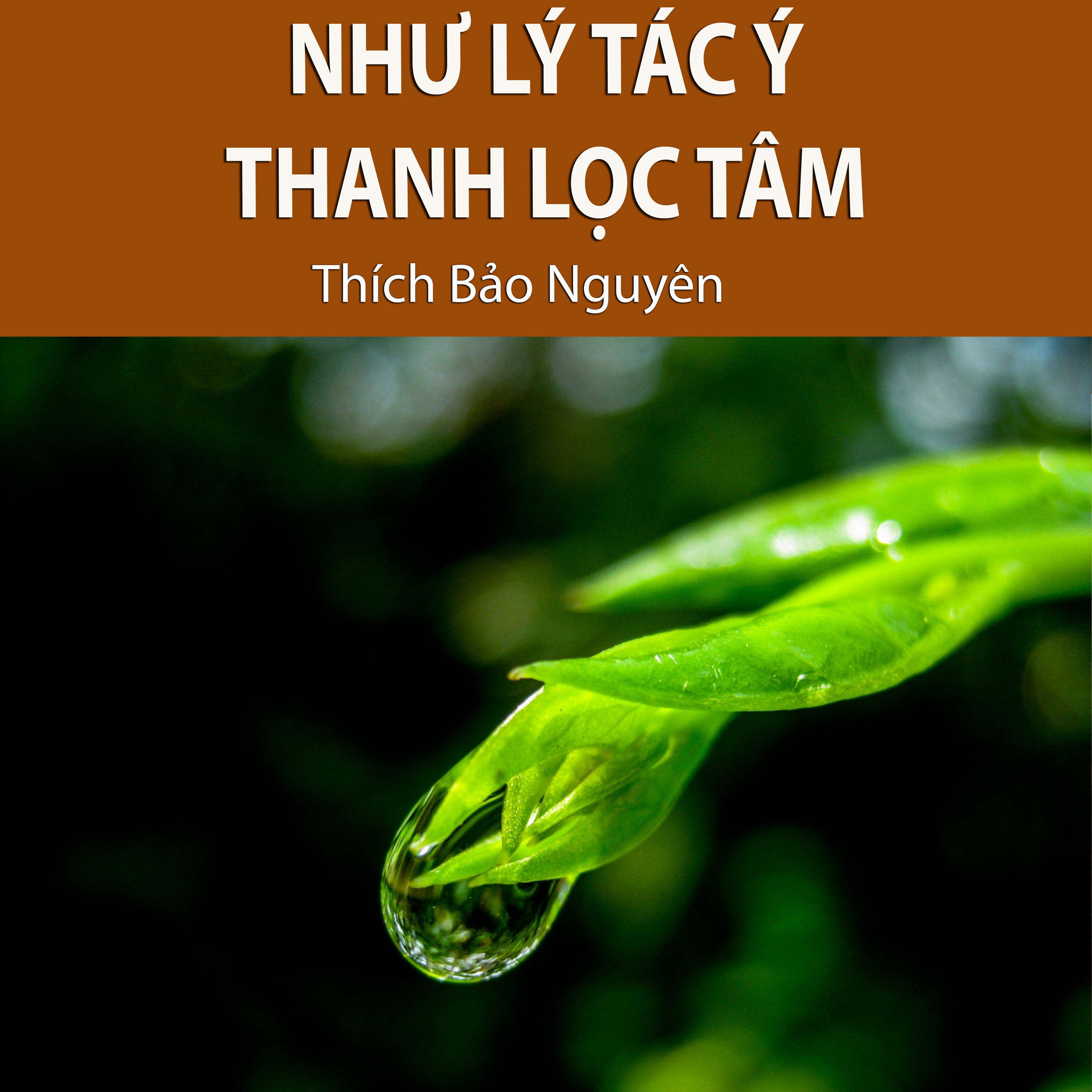 Thích Bảo Nguyên