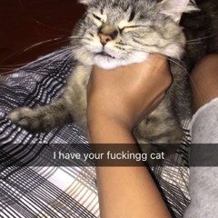 I Have Your Fucking Cat