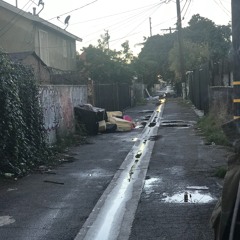 PSA (Prod. Polaroid)