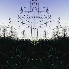 Roxch x Frxnco - Find Myself (Prod. Brokn)