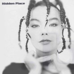 'Hidden Place" - Bjork - remixed by the Fluu