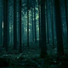 Undergrowth (Original Mix)