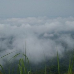 Wicca Phase Springs Eternal  Shut My Eyes Acoustic Live in LA