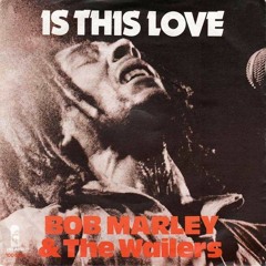 Bob Marley & the Wailers - is this love (Stuba & Rocsteady Afro House remix)