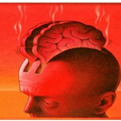 Lavage De Cerveau