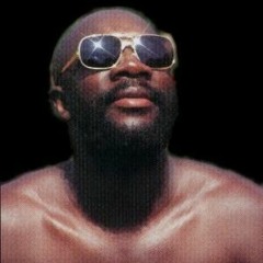the look of love - Isaac Hayes Sampler