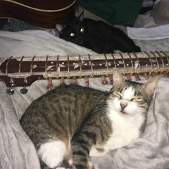 Kindness on sitar (first sitar recording)