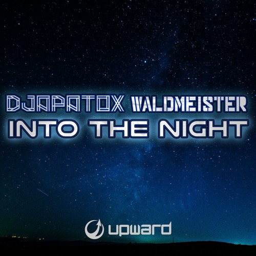Into The Night (feat. Waldmeister)