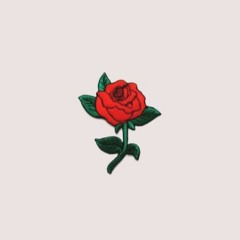 New private playlist