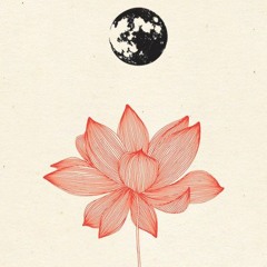 Lotus Symphony - Premaster