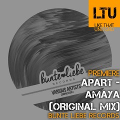 Premiere: Apart - Amaya (Original Mix) | Bunte Liebe Records