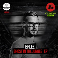 Brlee - Ghost (Original Mix)