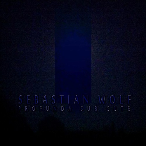Sebastian Wolf - Dust