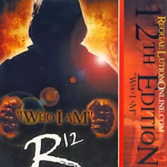 Reggae Lution Volume 12 "Who I Am" Mix 2001