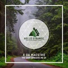 X Da Maestro - The Dark (Ambient) Me EP [ HSL #40 ]