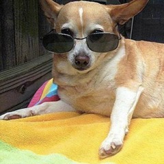 South African South American Dance cocktail