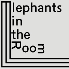 "Elephants in the Room" – 2018 Assembly for Commoning Art Institutions