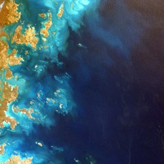 Good Tiger - Skremix Aspirations