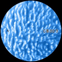 Premiere : Carebears - 303 A (CB303)