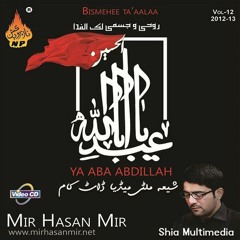 Roohi Wa Jismi Lakal Fida - Mir Hassan Mir 2013