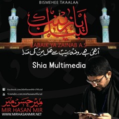 Jawan Thay Akbar (A.S) - Mir Hassan Mir 2014