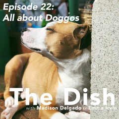 The Dish Episode 22