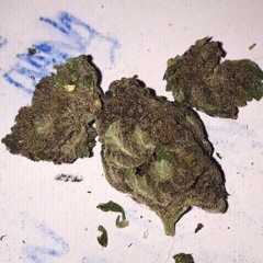 Shadow of your distant friend (demo)