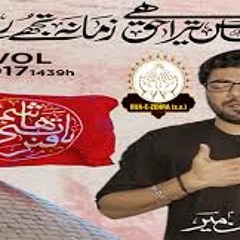 Qaid Khanay Say Sakina(sa) Ki - Mir Hasan Mir Nohay 2018