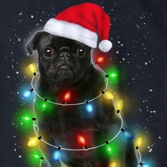 Harry's Christmas round-up 2018