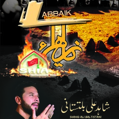 Hun Aj Main B Shamil - Shahid Ali Baltistani 2017 Nohay