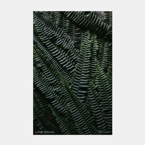 Lunar Convoy - Sannyāsin.CIRCULAR76