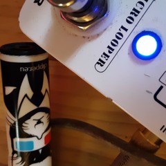 non elitist experimental