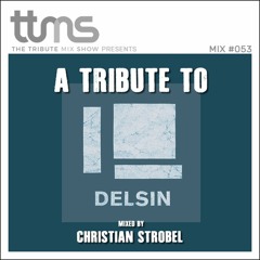 #053 - A Tribute To Delsin Records - mixed by Christian Strobel
