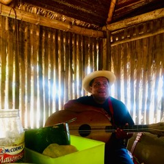 Pata de Vaca - Las Hojas