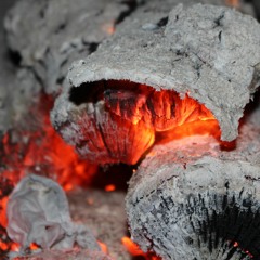 Home For The Holidays