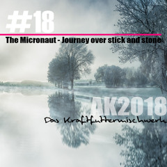 2018 #18: The Micronaut - Journey over stick and stone