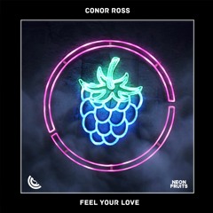 Conor Ross - Feel Your Love 🍉