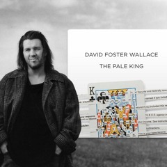 The Pale King By David Foster Wallace (Audiobook Excerpt) Accountant On A Plane