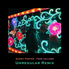 Sammy Porter - True Collors (Unregular Remix)